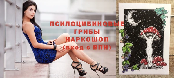 тгк Белокуриха
