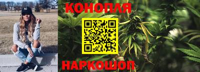 крисы Нягань