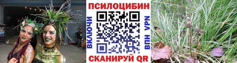 купить наркоту  Свободный  Псилоцибиновые грибы мухоморы 
